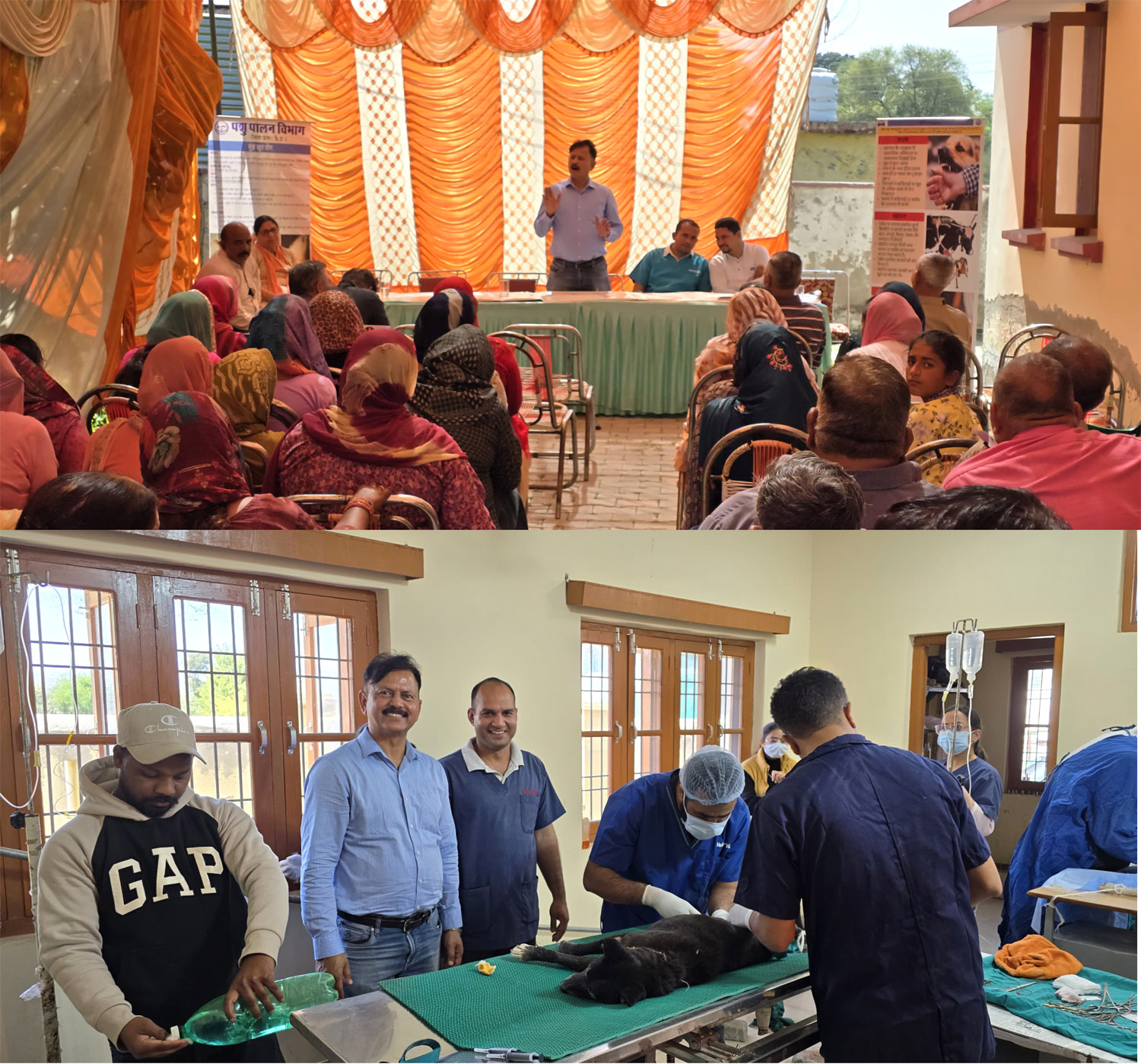 Mega camp organized in Veterinary Hospital Khadd under National Live Stock Mission